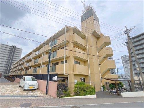 現地‐2026年6月撮影