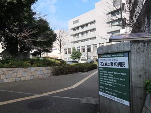 花と森の東京病院まで870m