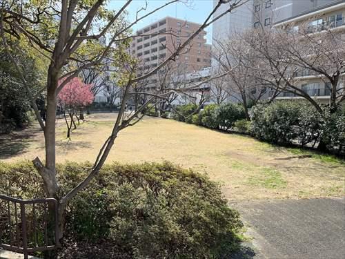 新田間川緑地まで480m