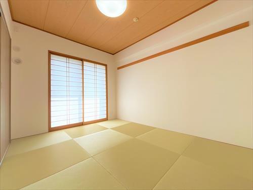 和室5.2帖（2025年11月撮影）