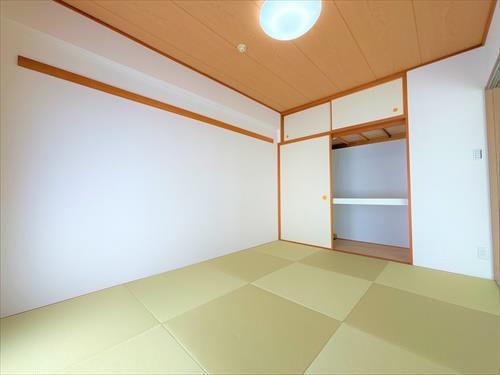 和室5.2帖（2025年11月撮影）