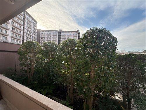 洋室　約5.0帖　窓からの景色