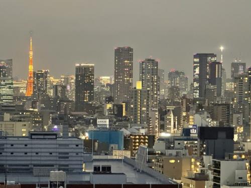 東京タワーを望む眺望