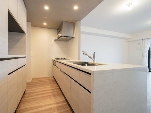 便利な機能が付いているシステムキッチン（ディスポーザー、食器洗乾燥機、浄水器）