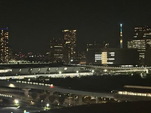 夜間は都心の煌びやかな夜景を望みます。