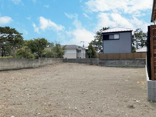 販売現地（2025年3月撮影）