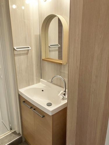 機能的な洗面化粧台。木目調の収納とアーチ型ミラーが空間にやさしい印象を与えます。