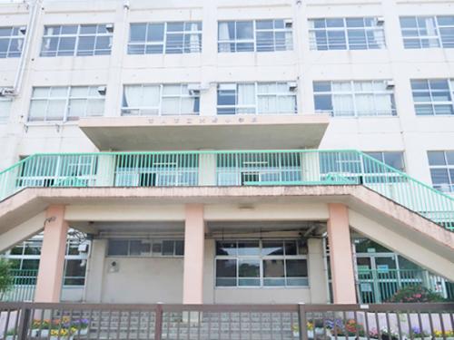 現地から約215mにある市川市立大野小学校です 現地から約215mにある市川市立大野小学校です