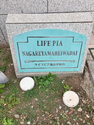 上品で落ち着いた外観