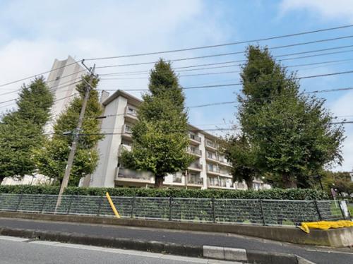 敷地内には沢山の緑が植樹されています。
