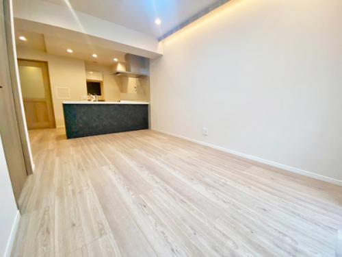 室内（2025年11月撮影）