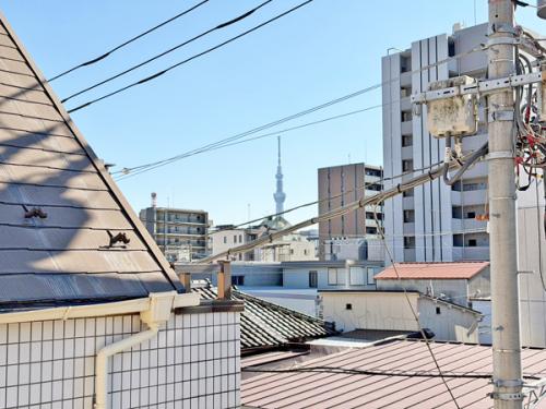 スカイツリーを正面に望む開放感のある眺望。東京らしさを日常で楽しめます。