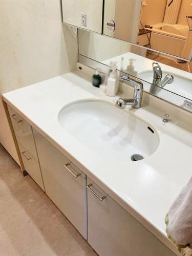 大型ボウルの洗面化粧台です。
