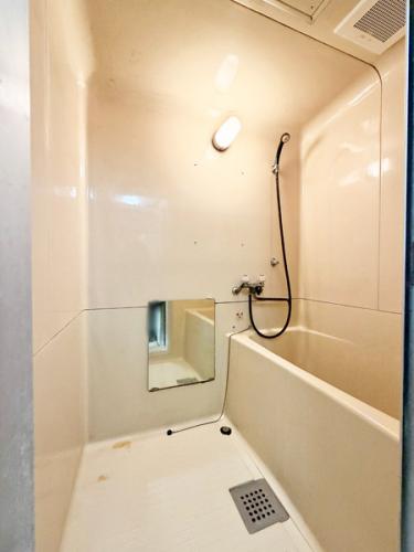 室内（2026年3月撮影）