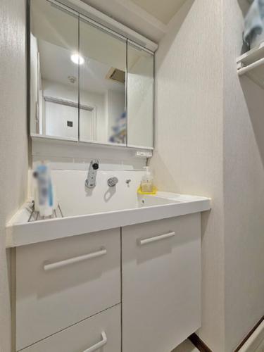 三面鏡付き洗面化粧台。たくさん収納できます。