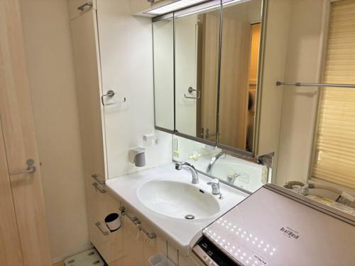 三面鏡付洗面化粧台。タオルや洗剤のストックに便利なリネン庫があります。