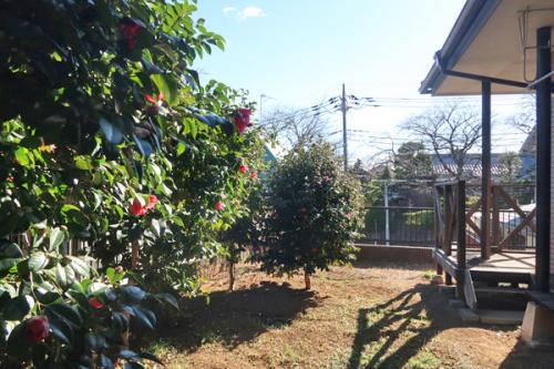 広いお庭が建物の東側と南側にあります。