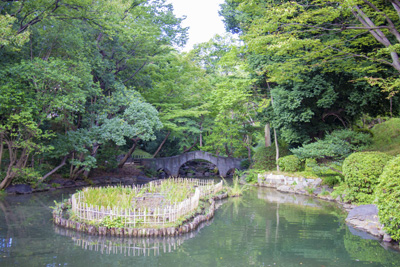 現在の「有栖川宮記念公園」の「太鼓橋」