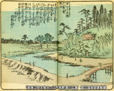 『絵本江戸土産』も描かれた「関口芭蕉庵」