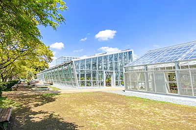 現在の「小石川植物園」の「公開温室」