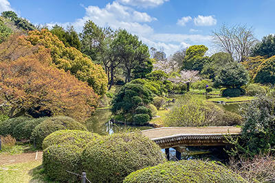 現在の「小石川植物園」の「日本庭園」