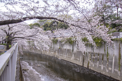 現在の「椿山荘」と「神田川」