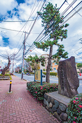 「旧東海道松並木跡」
