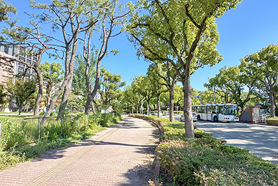 現在の「東公園」の路線跡付近