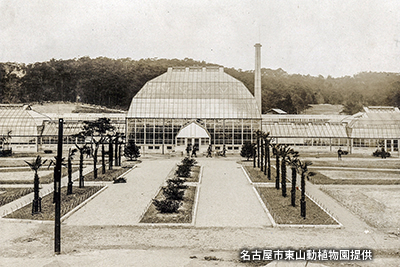 開園当初の「東山植物園」