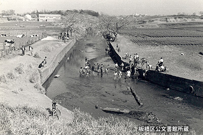 1951（昭和26）年の「石神井川」