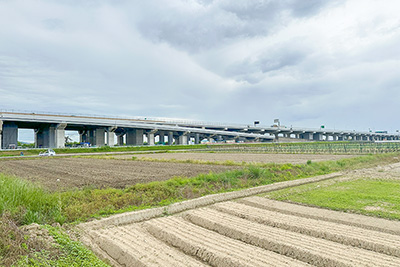 現在の「巨椋池」跡地