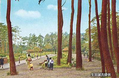 昭和20～30年代の「井の頭自然文化園」