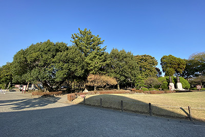 「熊本動物園」跡地