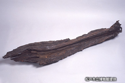 「松戸市立博物館」で保存・展示されている原木の一部