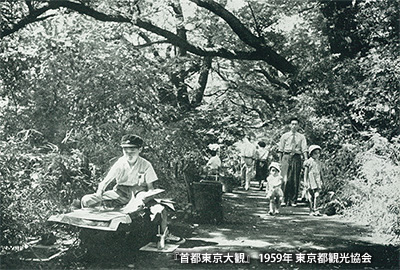1959（昭和34）年の「自然教育園」園内