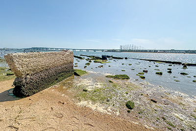 1928（昭和3）年、「鳴尾浜」に開設された「甲子園娯楽場」