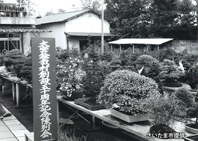 1973（昭和48）年の「大宮盆栽村創設50周年記念陳列会」の様子。