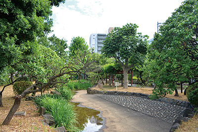「東海道」沿いの梅の名所「梅屋敷」