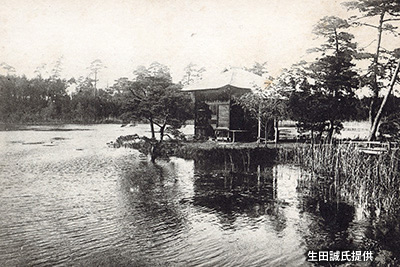 武蔵野の湧水池として知られる「三宝寺池」