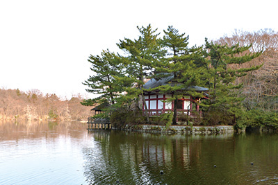 武蔵野の湧水池として知られる「三宝寺池」