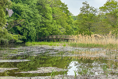現在の「三宝寺橋」