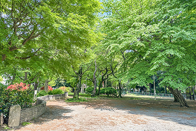 現在の「練馬区立大泉公園」