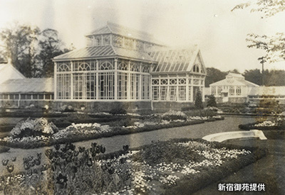 1908（明治41）年撮影の温室