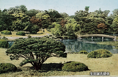 昭和中期の「日本庭園 上の池」