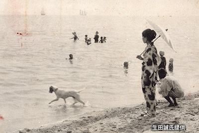 白砂青松が続く「芦屋浜」 埋め立て前は海水浴を楽しむ人も