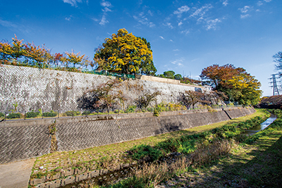 「根川緑道」から望む現在の「普済寺」