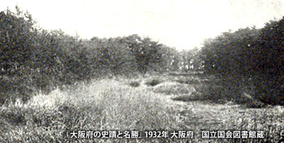 「今城塚古墳」の前方部