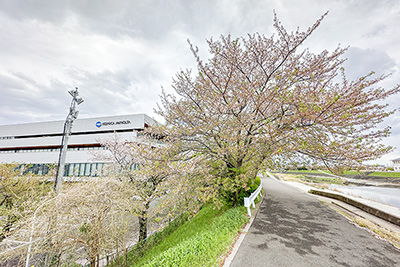 「コニカミノルタ 高槻サイト」と「芥川」