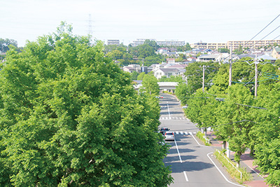 歩車道完全分離など新しい試みが行われた「元石川第一地区」