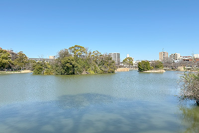 現在の「万代池公園」